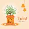 tulsi-pujan