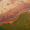maha-kumbh-mela